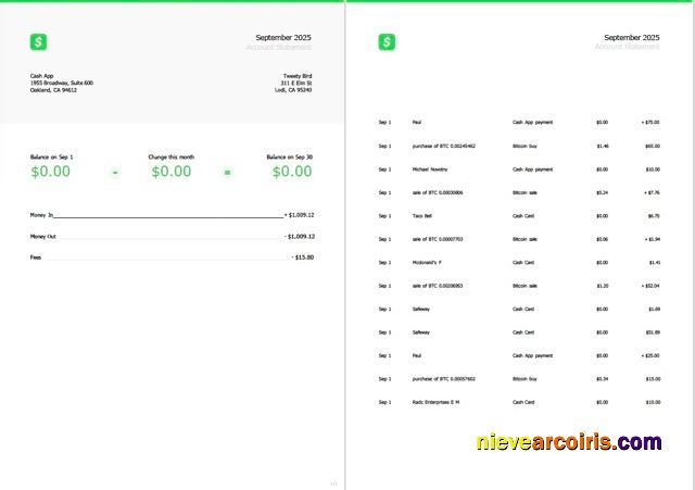 USA Cash App account statement Word and PDF, 2 pages